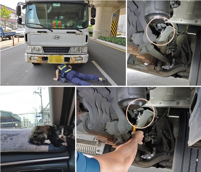 트럭 밑에 들어간 새끼고양이를 구조하고 있는 사상서 감전지구대 남규백 순경.(사진제공=부산경찰청)