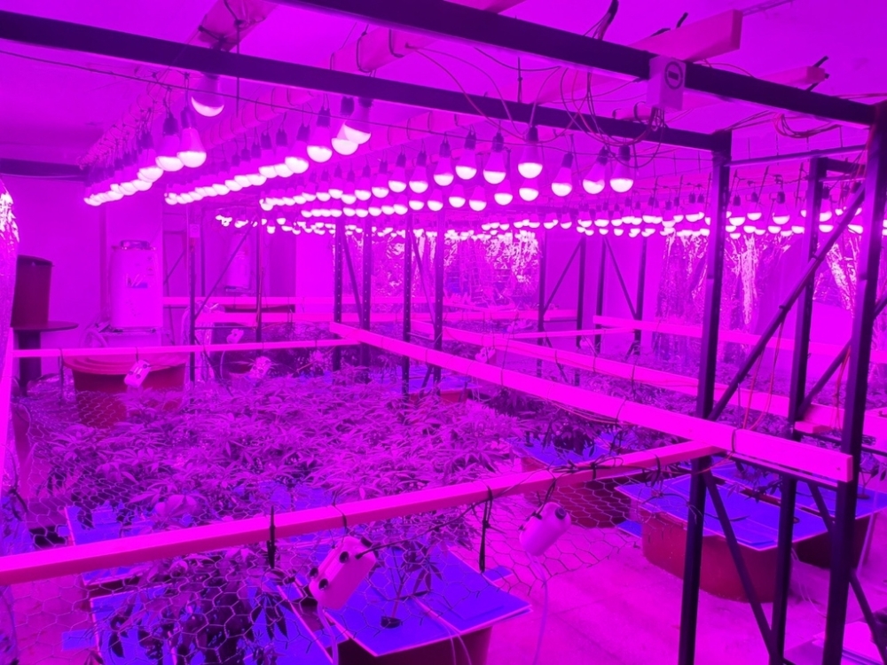 사진=서울경찰청