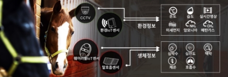 한국마사회, 지능형 마방 실증 앞장