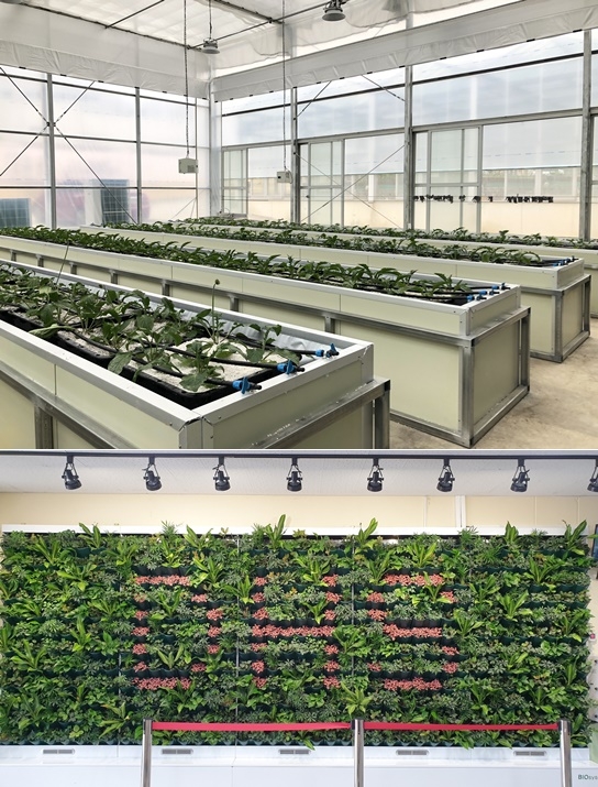 스마트 팜 온실과 벽면녹화 자동화 시스템 모습.(사진제공=부산교육청)