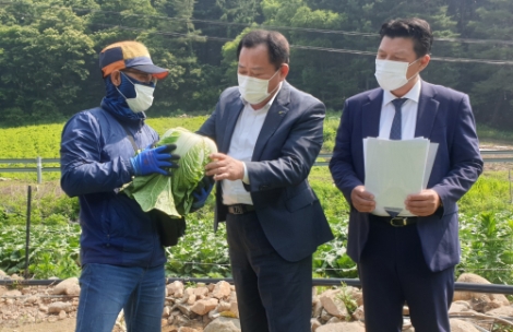 aT 박석배 감사, 봄배추 수매 현장 애로사항 청