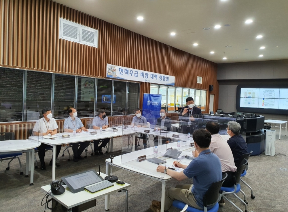전력거래소(이사장 정동희)는 올 여름철 차질없는 전력공급을 위해 여름철 전력수급 전문가 자문TF 운영 모습. (사진=전력거래소)