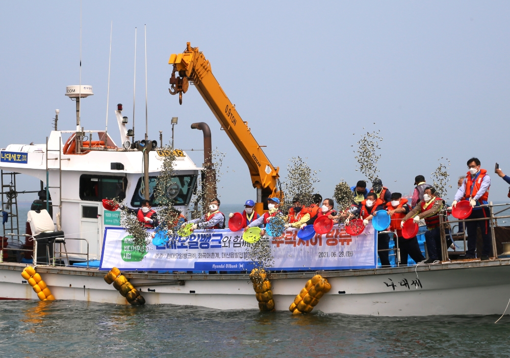 우럭 방류 모습.(사진=현대오일뱅크)