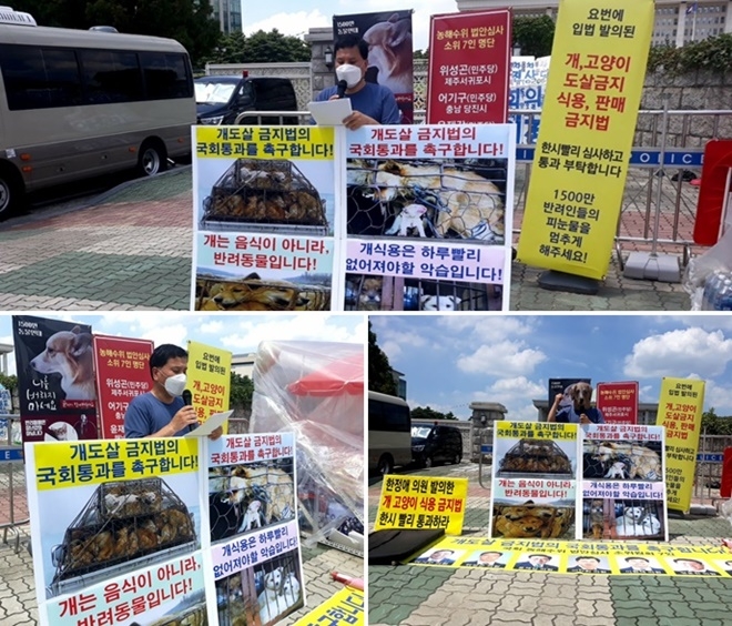7월 21일 오후 여의도 국회정문 앞에서 개도살 금지법의 국회통과를 촉구하는 1인 기자회견을 열고 있다. (사진제공=한국동물보호연합)