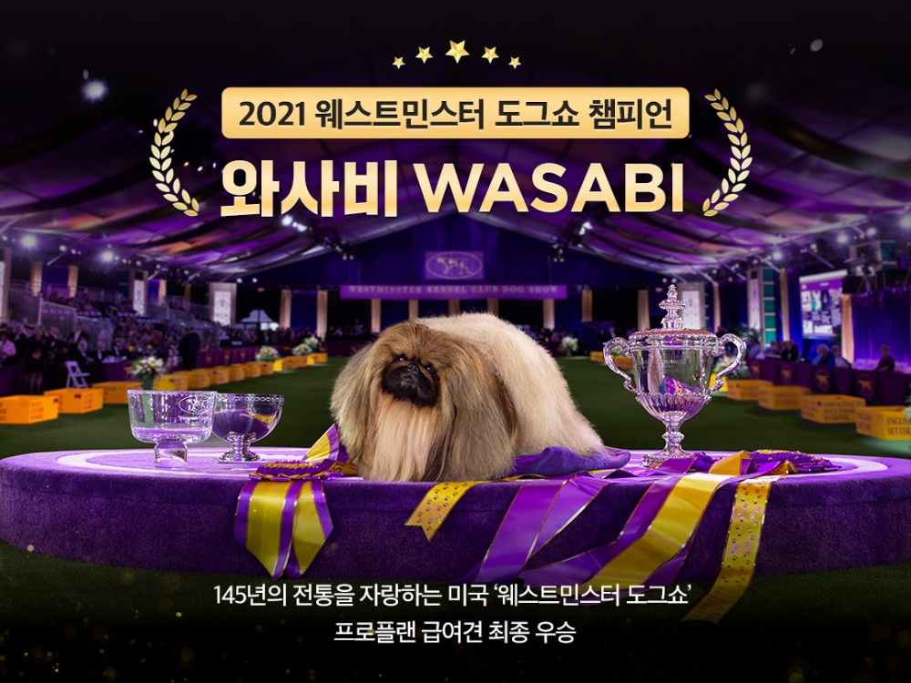 프로플랜, 웨스트민스터 켄넬 클럽 도그쇼 전 부문 석권