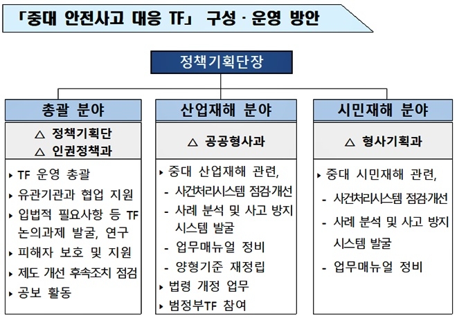 중대 안전사고 대응TF 구성·운영 방안.(제공=법무부)