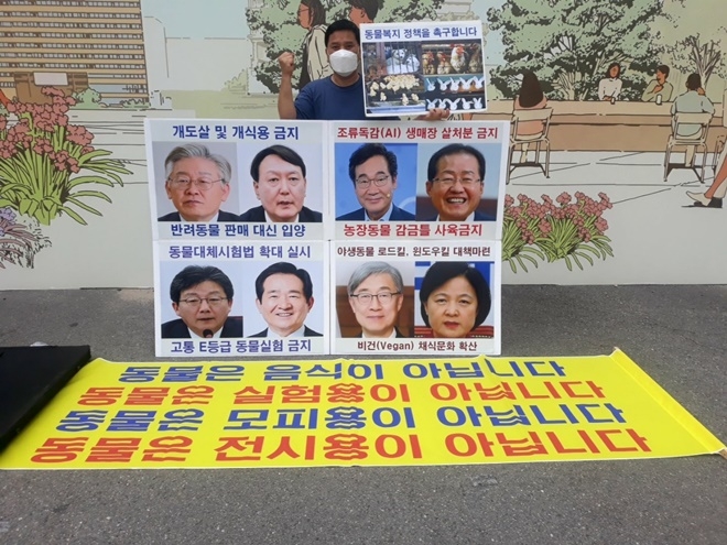 (사진제공=한국동물보호연합)