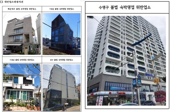 위반업소.(제공=부산시)