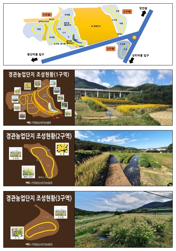 기장군 경관농업단지 조성현황.(제공=부산 기장군)