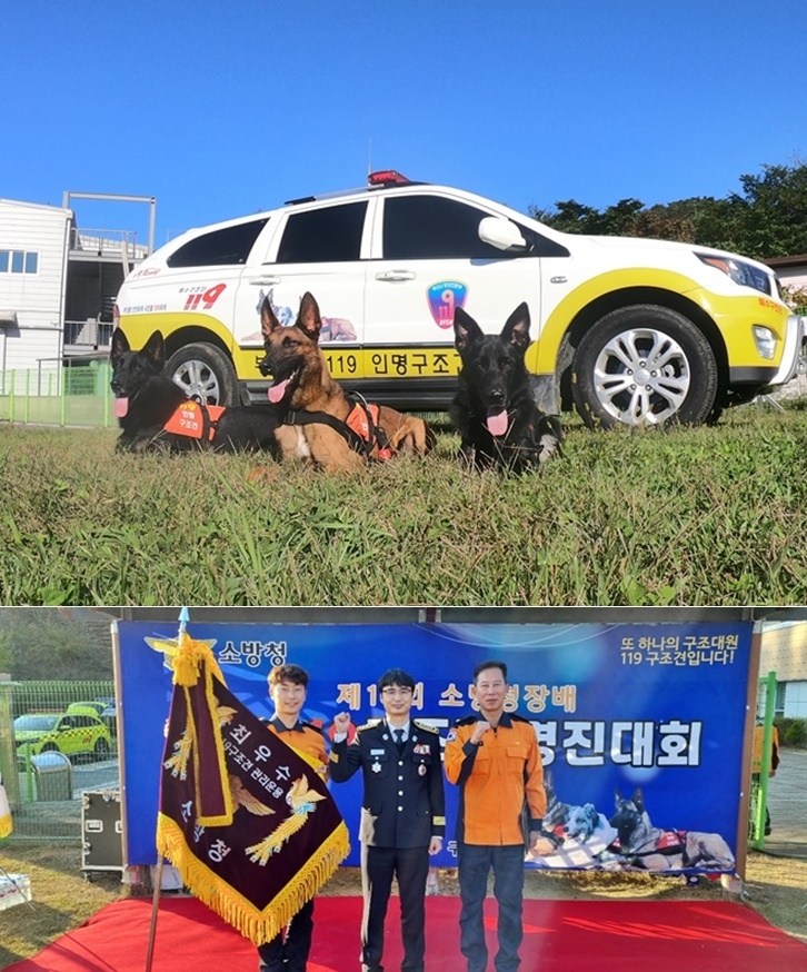 왼쪽부터 영웅, 충성, 유리.(사진제공=부산소방재난본부)