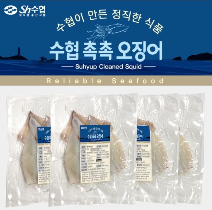 수협,‘촉촉오징어’라이브방송으로 수산물 소비 촉진