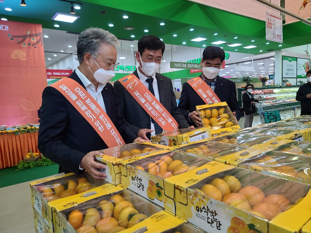 농협, 단감데이 맞이 단감 소비촉진 행사
