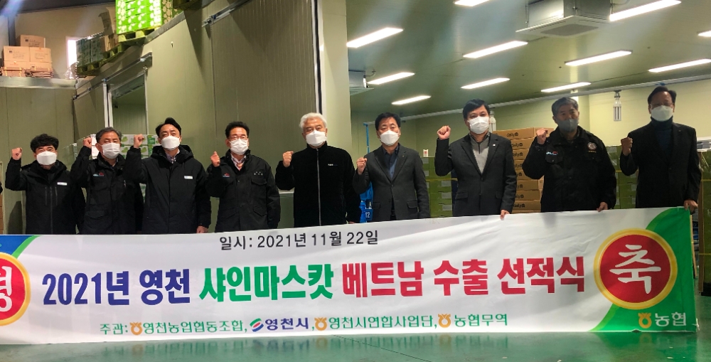 NH농협무역, 영천농협 샤인머스캣 베트남 수출