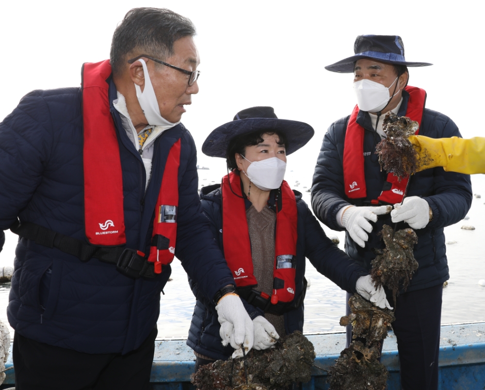임준택 수협중앙회장(사진 가장 오른쪽)이 10일 통영지역 피해 굴양식장을 방문하여 양식어업인 피해 최소화 방안에 대해 논하고 있다.(사진=수협중앙회)