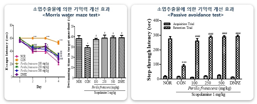 SFC바이오 ‘소엽추출물’ 활용해 고령친화식품 개발