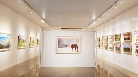 한국마사회 말박물관, 초대전 작가 추가 공모