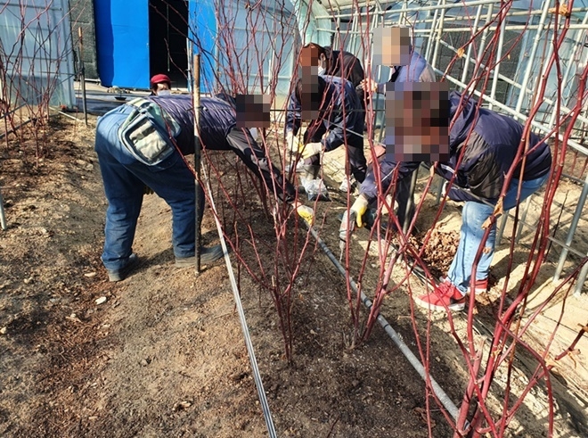 (사진제공=부산서부준법지원센터)