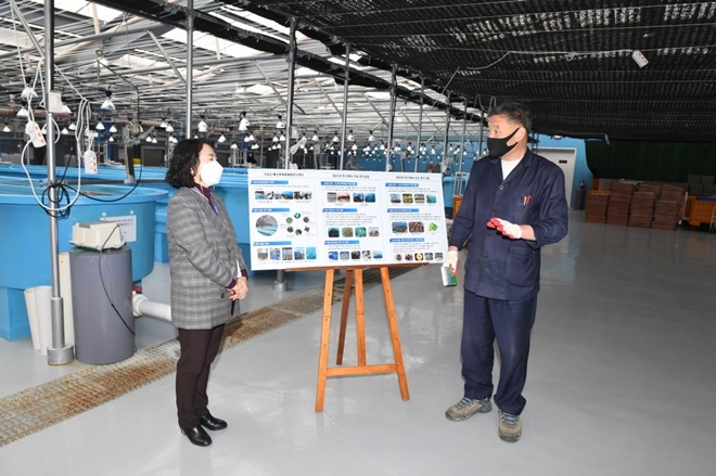 오규석 기장군수는 25일 오전 10시 30분경 수산자원 품종개발 사업장인 해조류육종융합연구센터 '종자 배양동' 현장을 방문해 연구개발 추진사항을 점검하고 있다.(사진제공=부산 기장군)