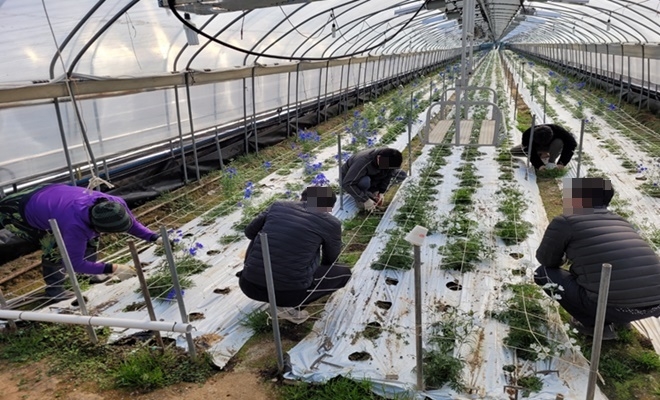 (사진제공=대구준법지원센터)