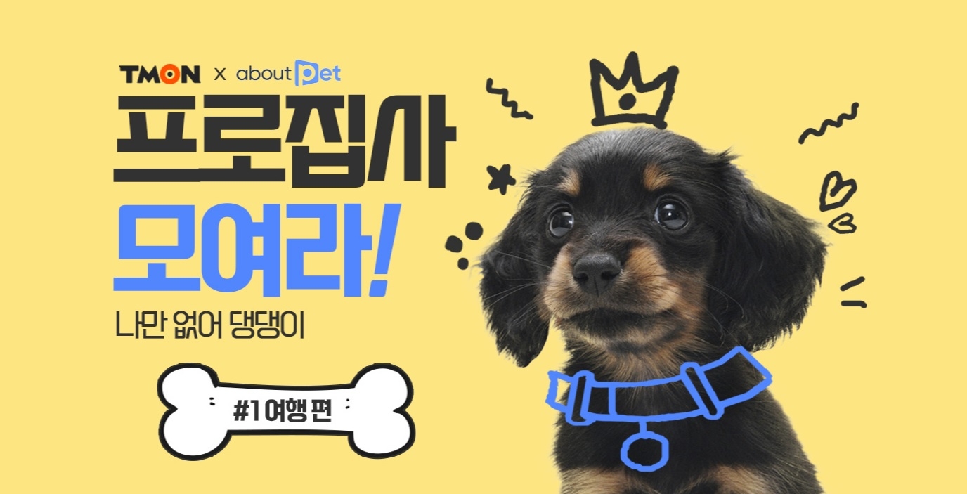 티몬, 소노펫X어바웃펫X펫플루언서 손잡고 반려동물 전문 콘텐츠 기획전 진행