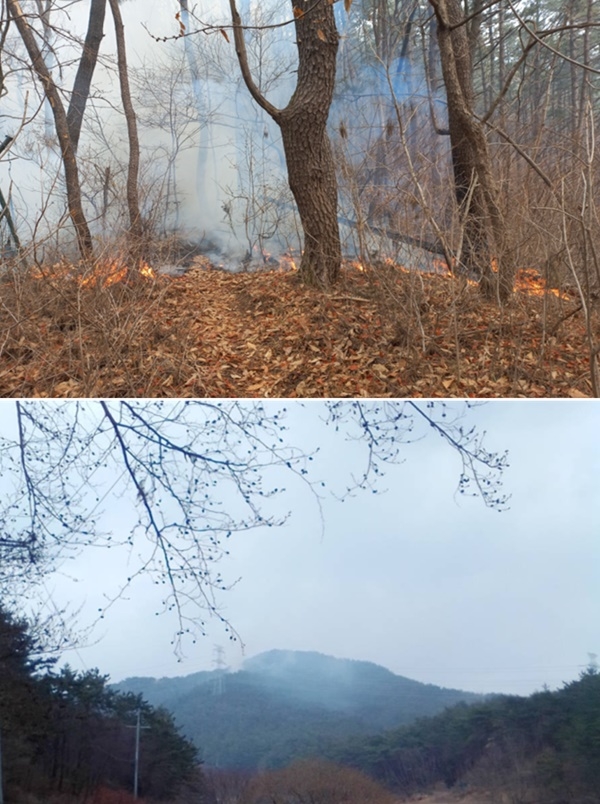 (사진제공=부산시)