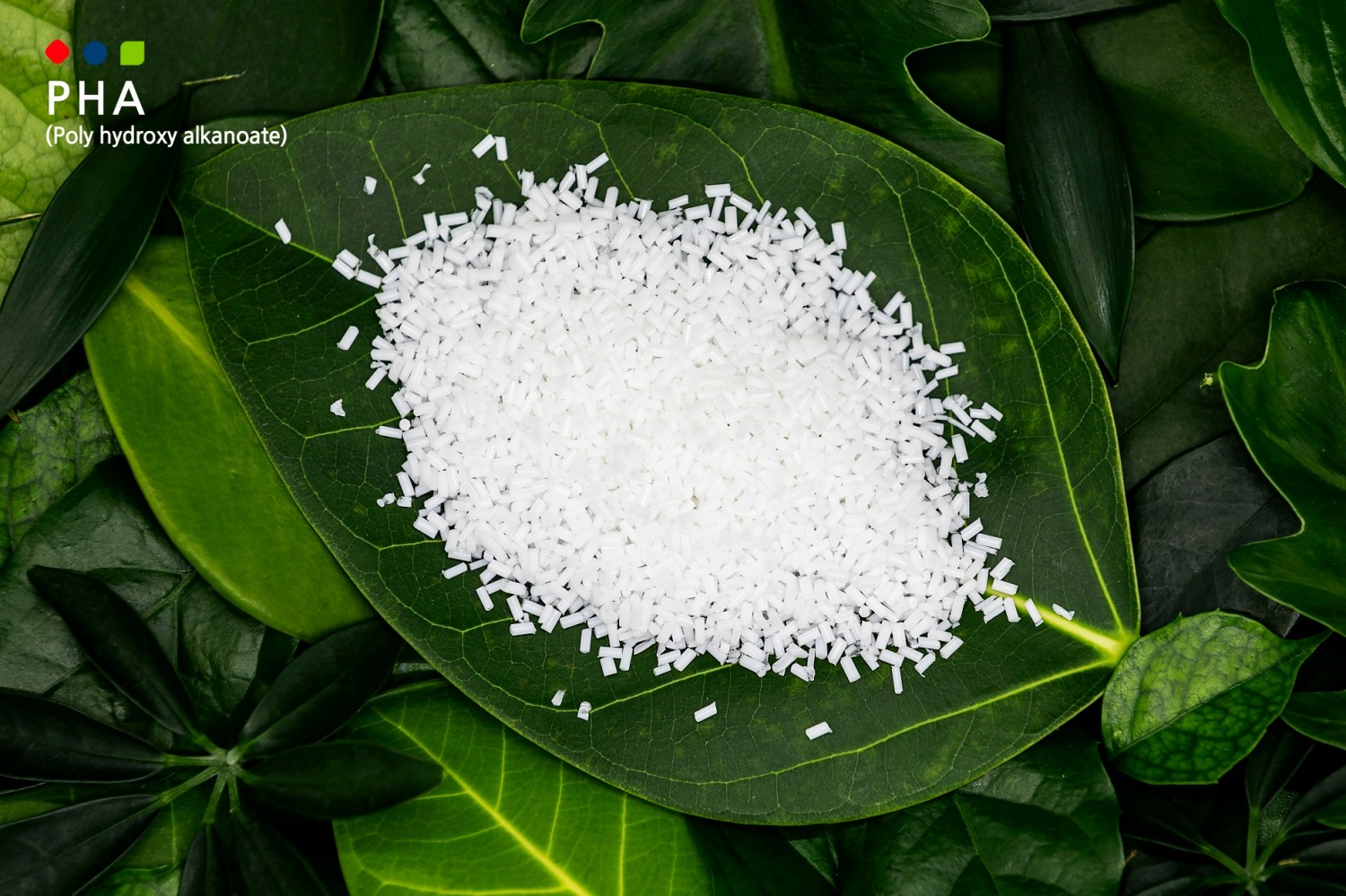 롯데케미칼, 해양 생분해 플라스틱 PHA 대규모 생산기술 확보 및 제품 용도 개발