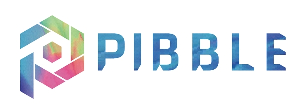 피블(PIBBLE), 1500만원 프리미엄 NFT 전략 통했다