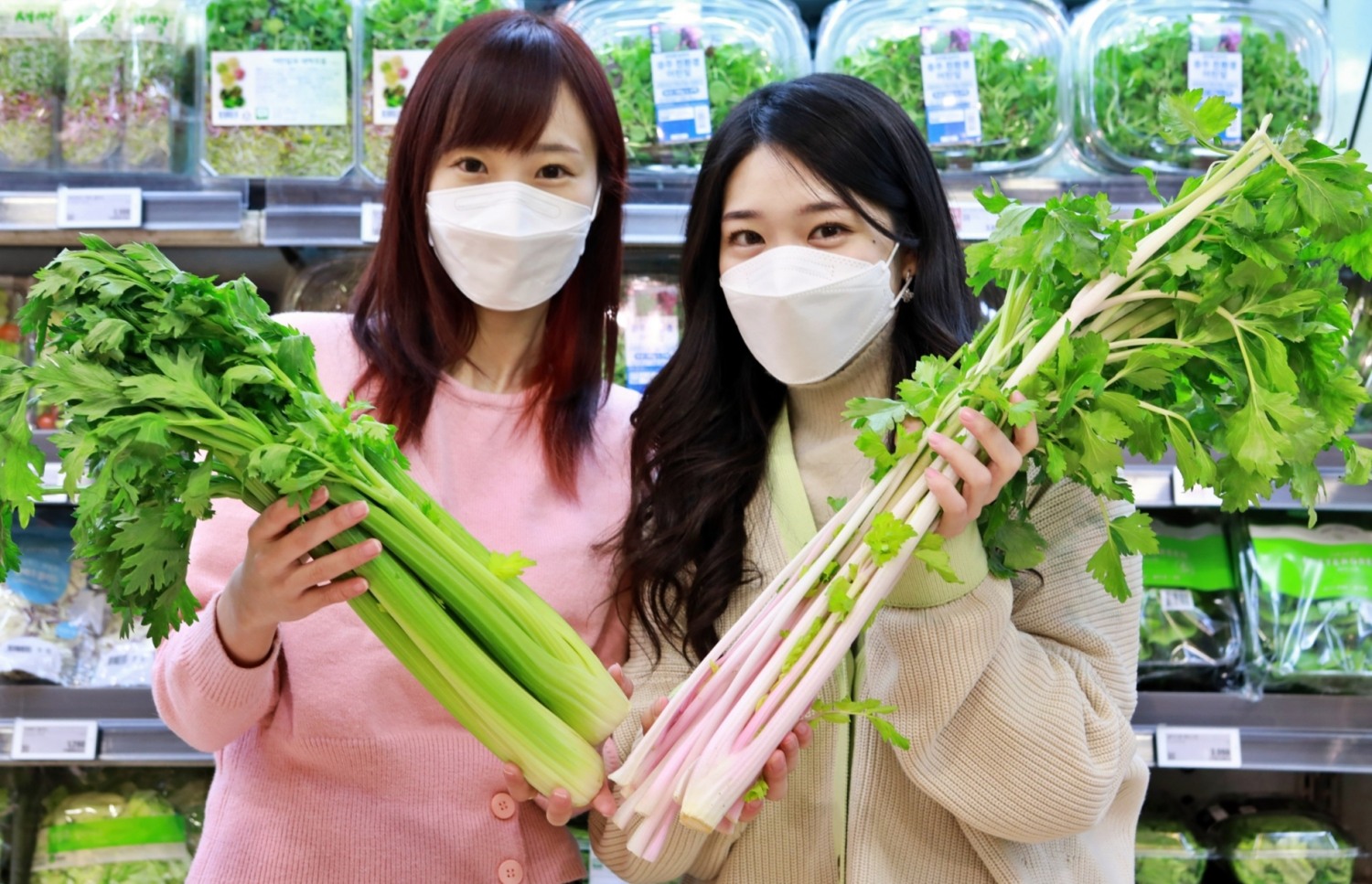 롯데마트 '핑크 샐러리' 출시 기념으로 샐러리 대전 진행