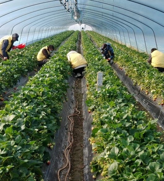 (사진제공=논산준법지원센터)