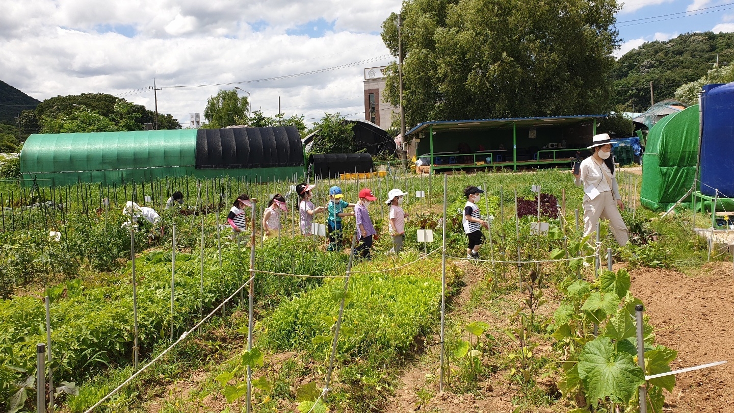 금천구, 도시농업체험장 생태 텃밭 분양