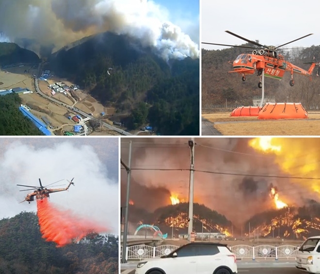 (사진제공=산림청)