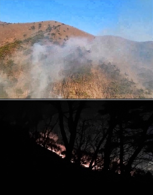 (사진제공=산림청)