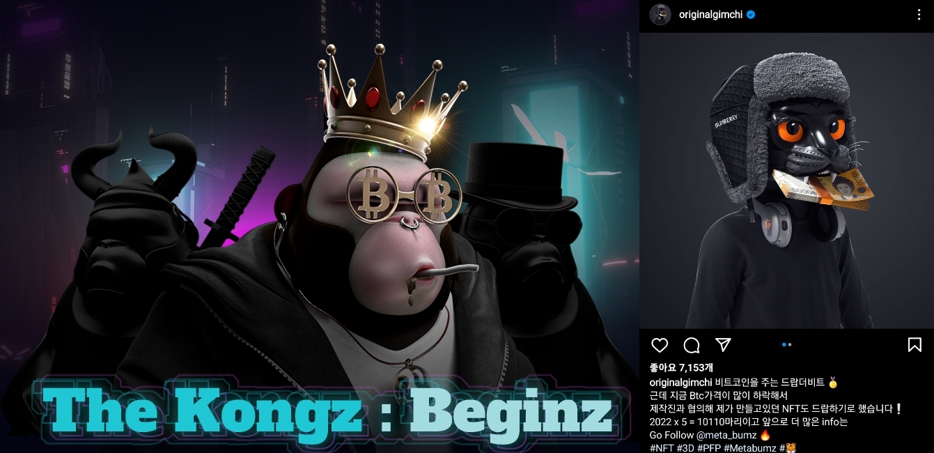 멋쟁이 사자처럼 이두희 대표의 NFT 프로젝트 메타콩즈 이미지(왼쪽)와 슈퍼비의 메타범즈 에어드랍 안내 이미지. 사진=메타콩즈 홈페이지 및 인스타그램 캡쳐