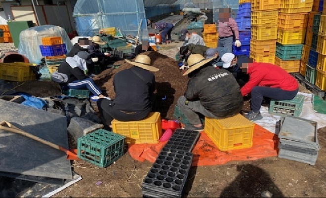 A씨 농가에서 사회봉사대상자 지원 모습.(사진제공=전주준법지원센터)