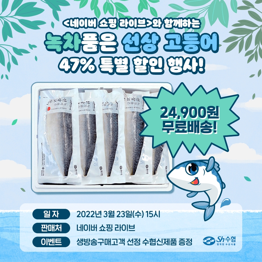 수협, 선상 경매로 신선도 높인 녹차 품은 선상고등어 47% 할인