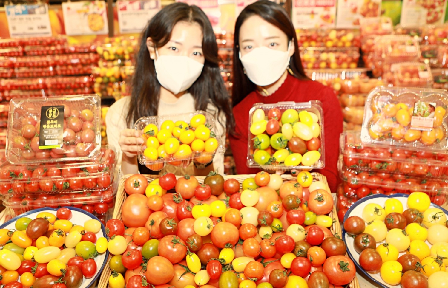 롯데마트 ‘스위텔/짭짤이 토마토’ 등 이색 토마토 기획전 진행