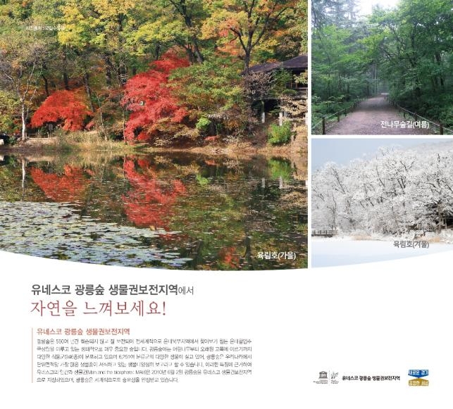광릉숲 유네스코 생물권보전지역-핵심지역 국립수목원