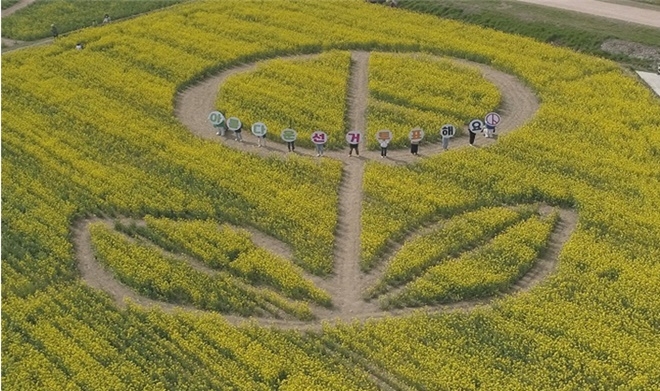 (사진제공=부산시선거관리위원회)