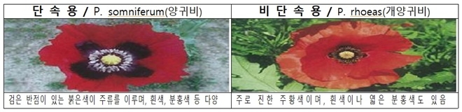 (제공=울산해양경찰서)