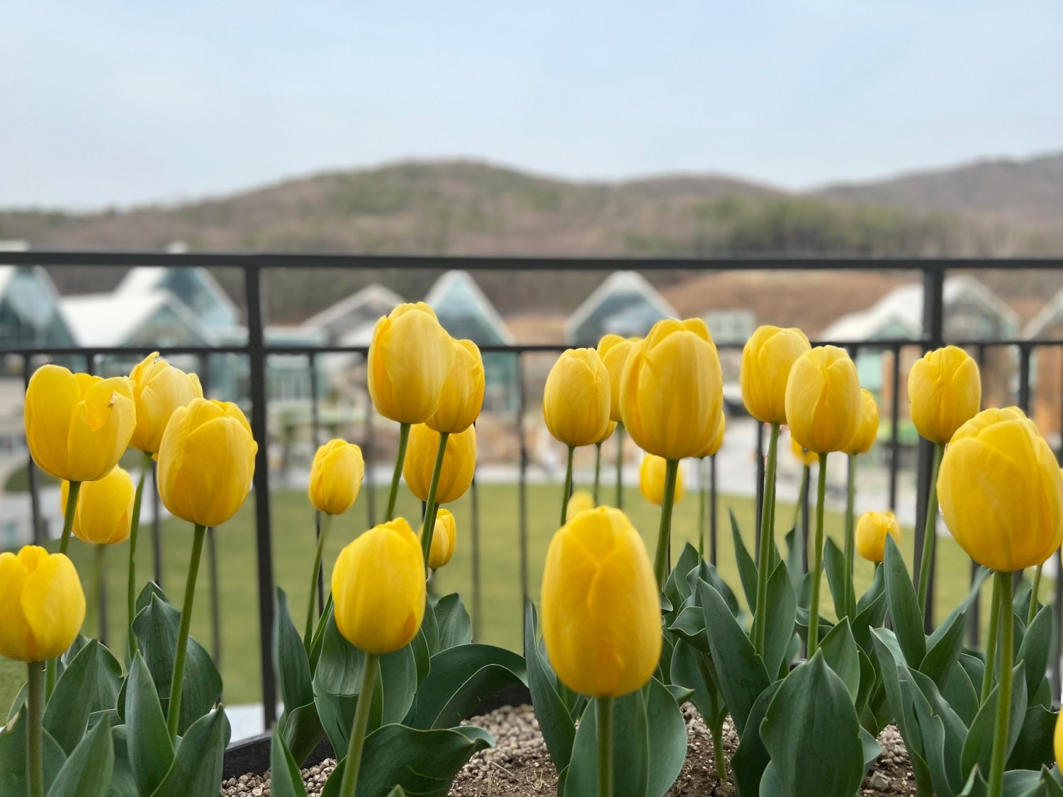 롯데아울렛, 봄맞이 축제 ‘블루밍 타임빌라스’ 진행