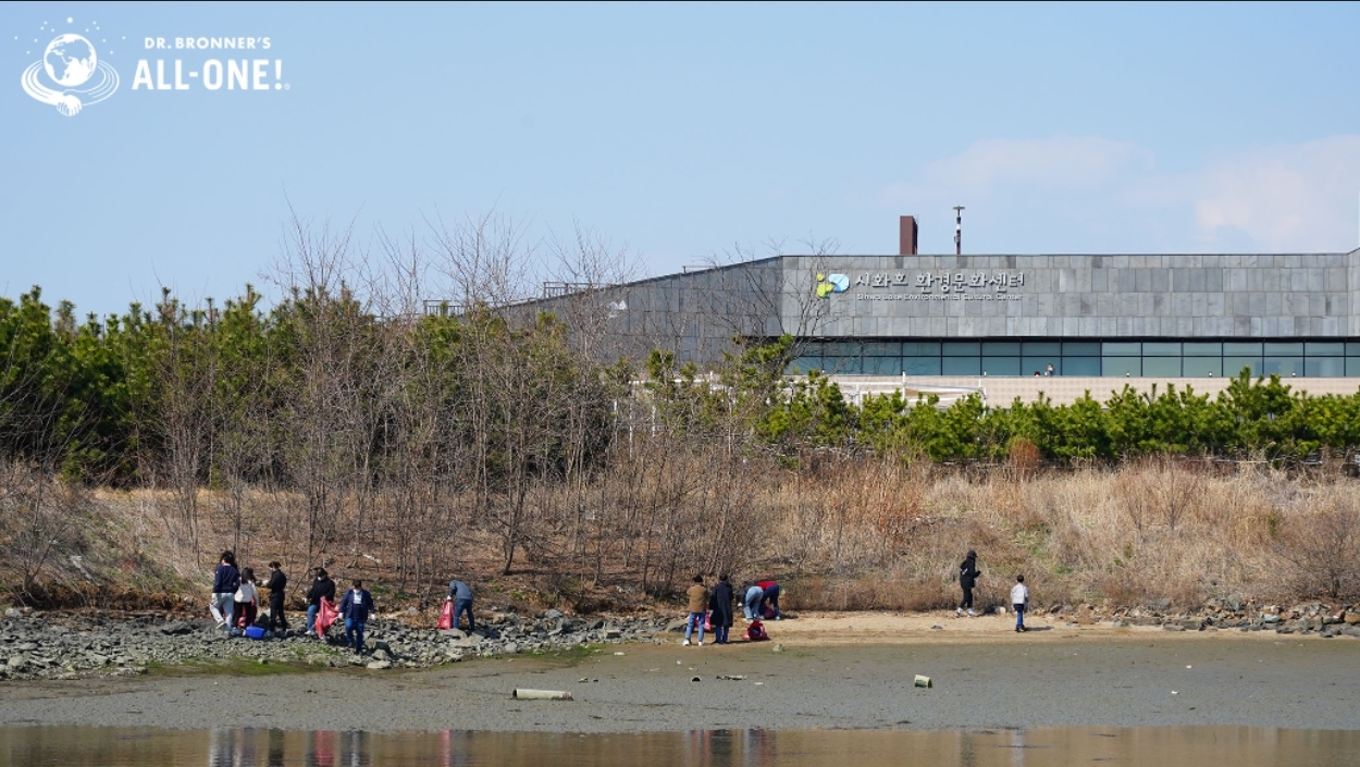 닥터 브로너스 임직원들이 시화호 해변 정화 활동에 참여하고 있는 모습.(사진=닥터 브로너스)