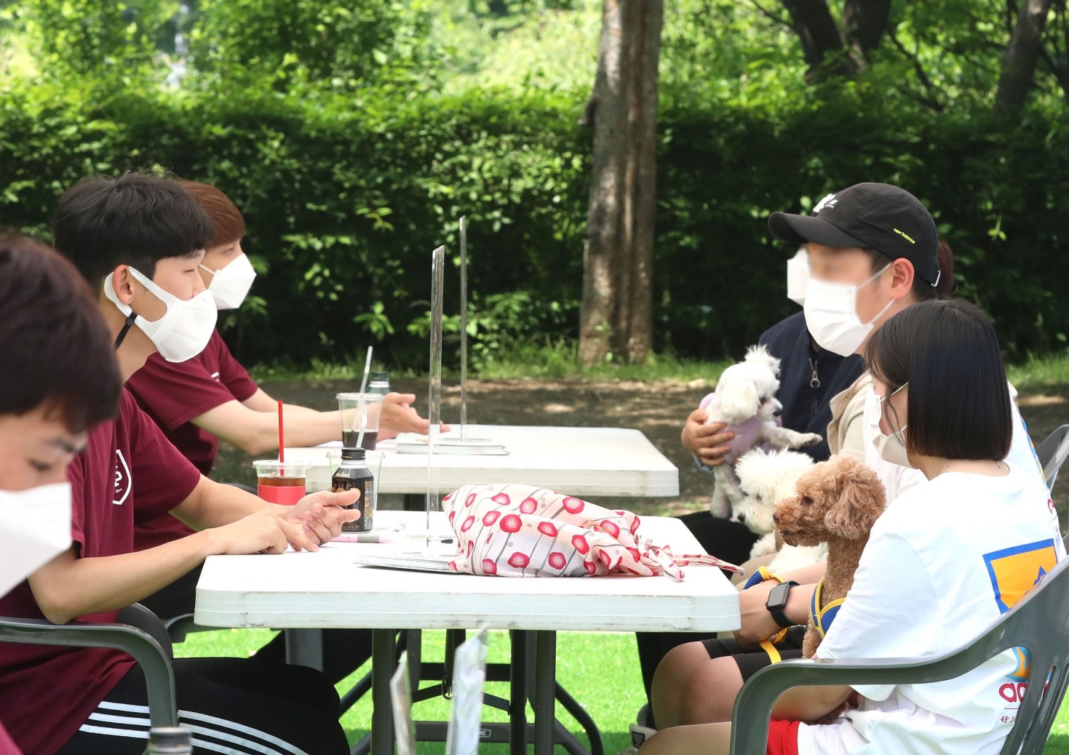 강남구, 반려견 행동교정 아카데미 운영