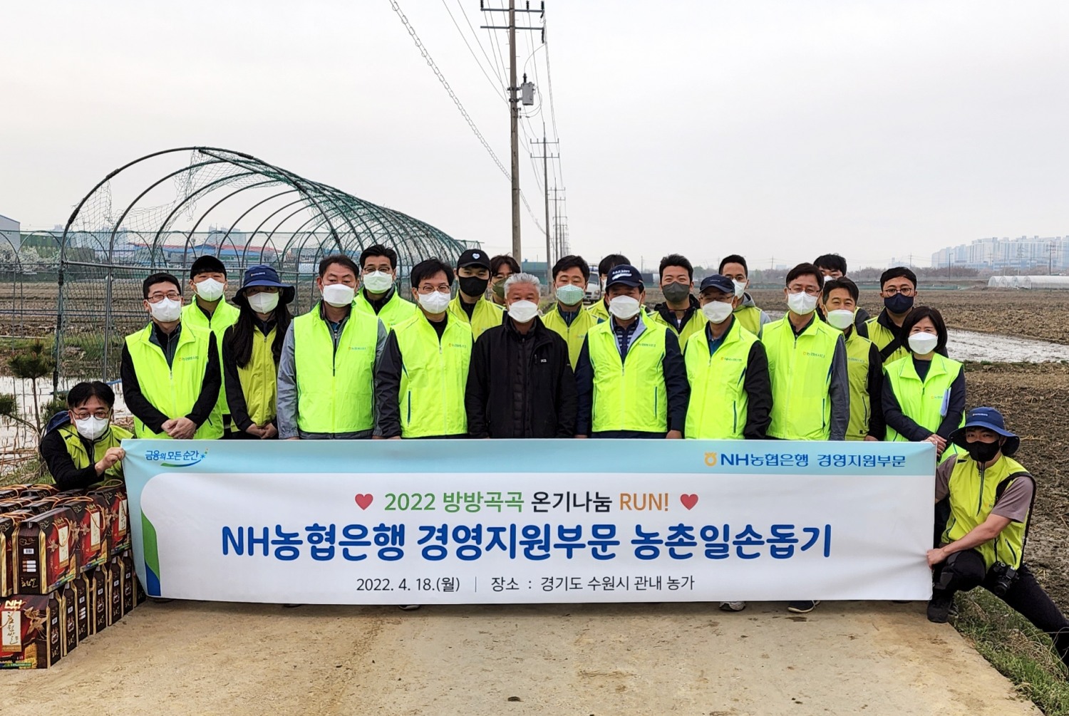 NH농협은행 경영지원부문, 영농철 맞아 벼 농가 일손돕기 실시