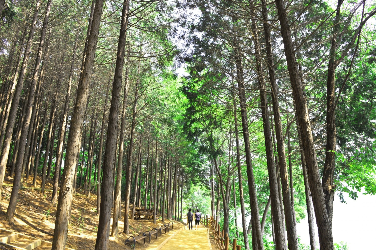 (사진제공=부산 금정구)