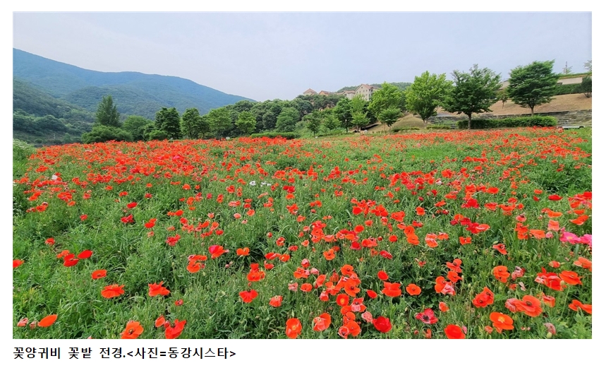 SM그룹 동강시스타, ‘꽃길’ 3천여 평 조성