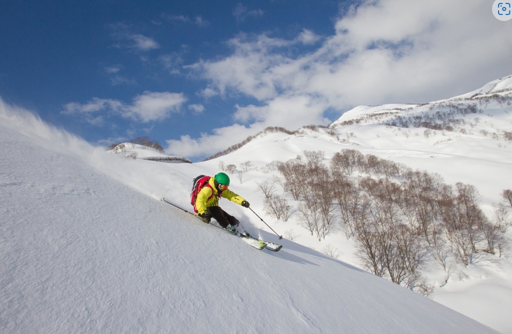롯데아라이리조트 스키 전경.(사진=롯데아라이리조트)