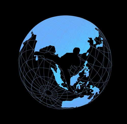 (제공=태권 글로벌)