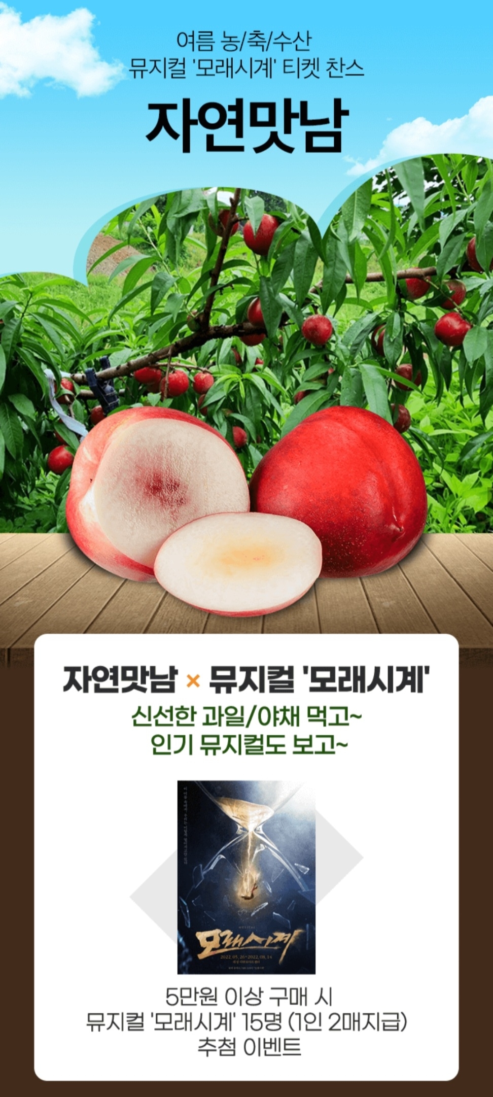홈앤쇼핑, 여름 농·수산물 기획전 진행