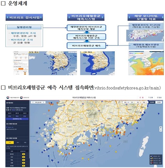 (제공=부산식약청)