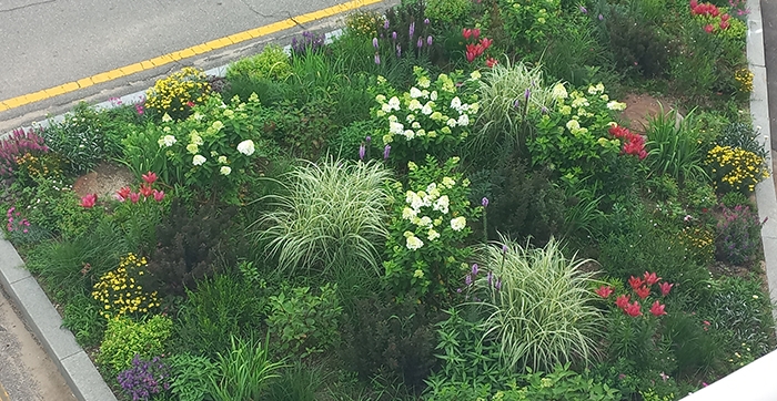 광명시, 도심 속 「걷고 싶은 꽃길 조성」..시민들에게 활력을 불어넣다